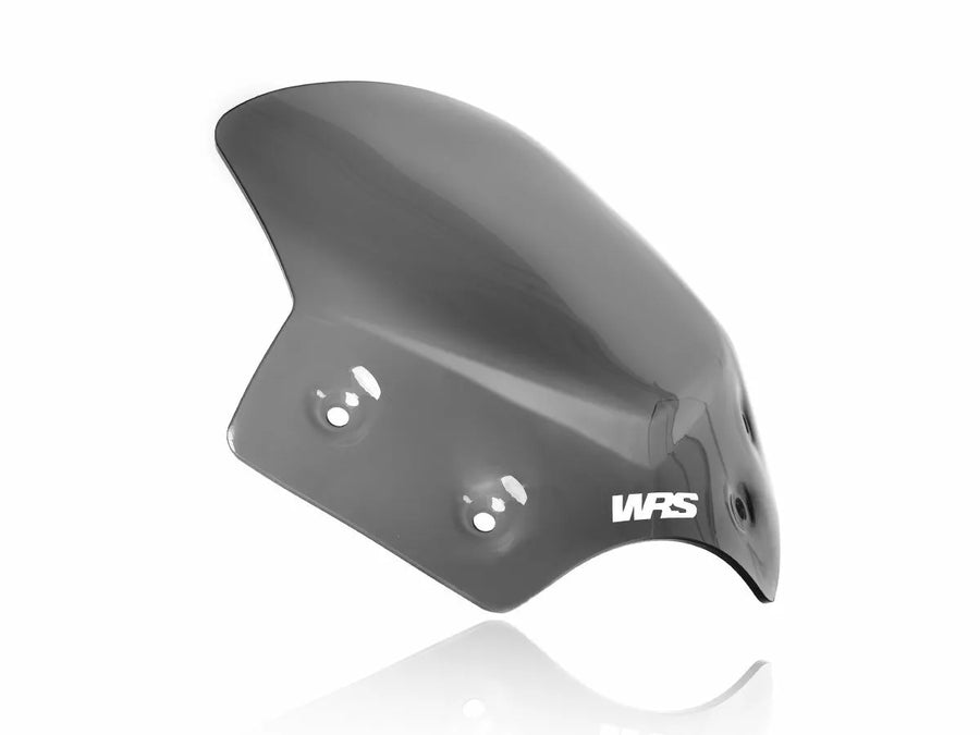 BMW R 1200 R [WRS] – Windschild