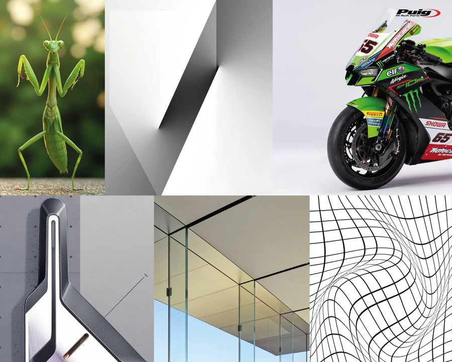 KAWASAKI Z 900 SE [2025] – New Generation Sport – Tinted