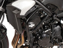Kawasaki Z 900 [2025] - Motor protection bar including protection pad-2