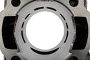 Aprilia SR Netscaper 50 2T LC - Zylinderkit und Kurbelwelle 70 Grauguss LC