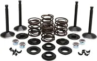 Harley Davidson FX Shovel [KIBBLEWHITE] – Motorventil-Kit