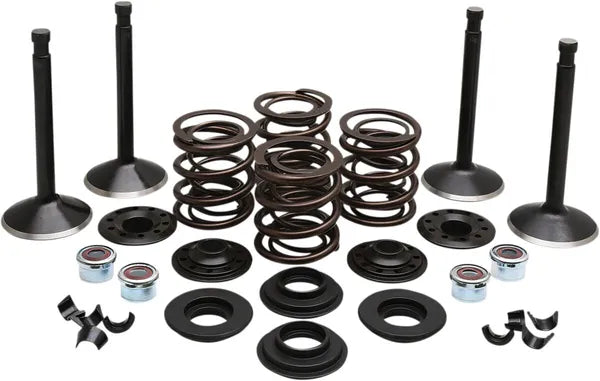 Harley Davidson FX Shovel [KIBBLEWHITE] – Motorventil-Kit