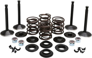 Harley Davidson FX Shovel [KIBBLEWHITE] – Motorventil-Kit