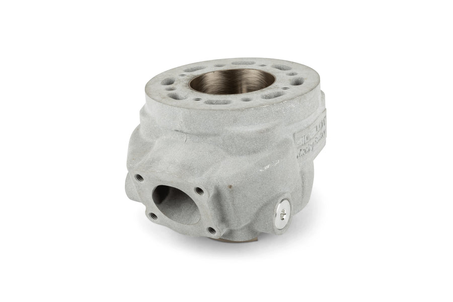 Rieju Spike 2 50 2T AM6 - Zylinderkit Racing Factory WR 90cc
