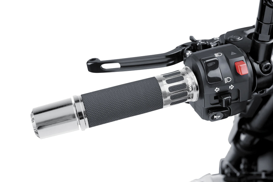 BMW F 900 R [2025] - Racing grips | Silver | PUIG 5879P