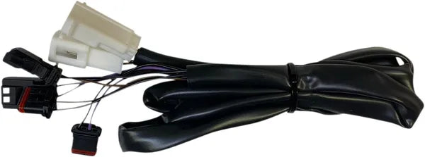 Harley-davidson Road Glide [CUSTOM DYNAMICS] – ProBEAM® Geïntegreerde platte LED-achterlichten met extra richtingaanwijzers