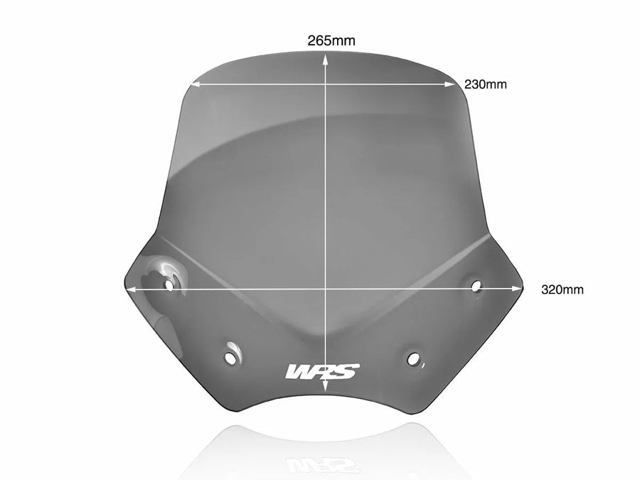 BMW R 1200 R [WRS] - voorruit