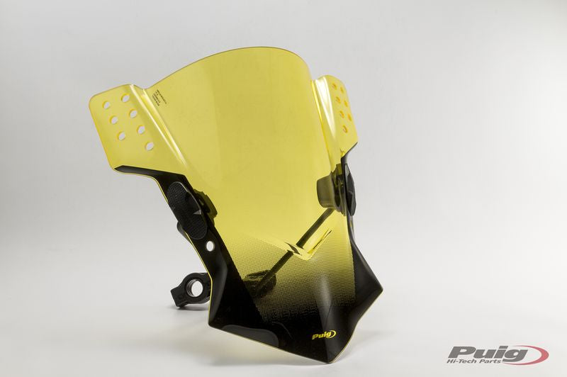 KAWASAKI Z 650 [2025] – Rafale – Stark getönt