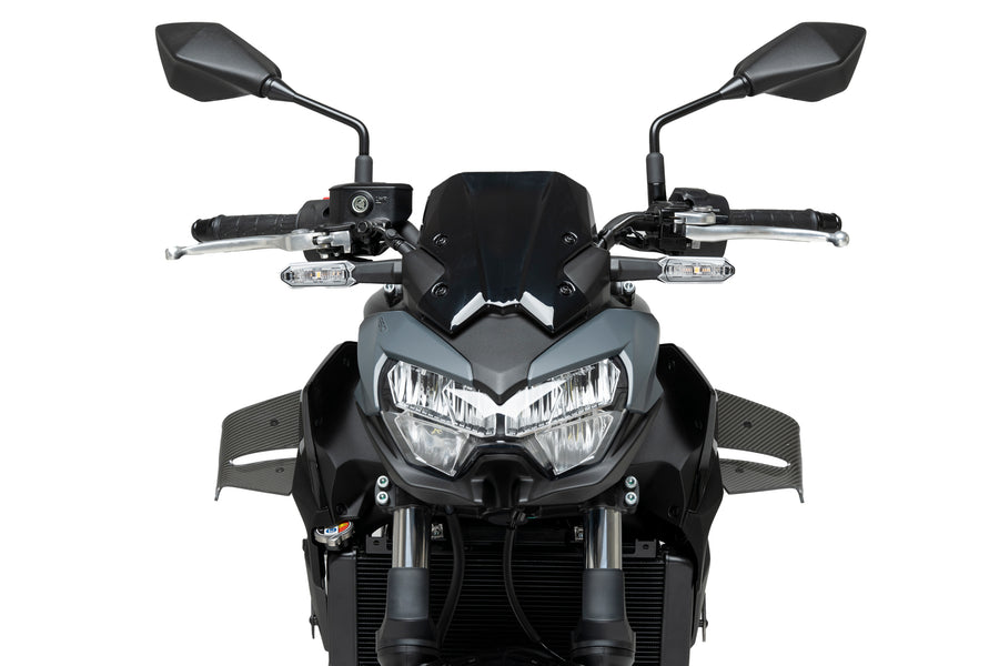 KAWASAKI Z 650 [2025] – D12 Spoiler – Schwarz