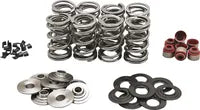 Harley-Davidson FLRT 1868 Freewheeler 114 [2021-2024] - Titanium klepveerhouderset - foto 8