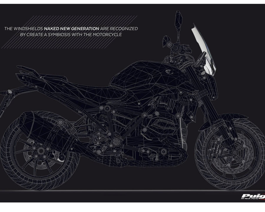 BMW R 1250 R [2018] – New Generation Sport – Getönt