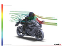 KAWASAKI ZX-10RR NINJA PERFORMANCE [2018] – R-Racer Screen – Tinted-13