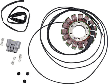 bmw s 1000 [RICK'S MOTORSPORT ELECTRIC] – Stator im OEM-Stil