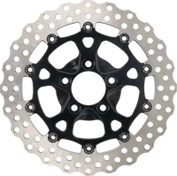 BMW S 1000 R [2017-2019] - Bremsscheibe – Bild 8