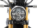 Royal Enfield BEAR 650 [2025-] - LAMPENSCHUTZGITTER