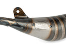 Aprilia RX 50 2T D50B1 [2006–] - Auspuff Racing Line 80 90 Lila
