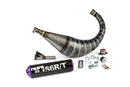 Gilera RCR Enduro 50 2T D50B0 [2011–] - Auspuff R/T 70-80 Schwarzlila