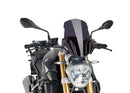BMW R 1200 R [2018] – New Generation Touring – Stark getönt-2