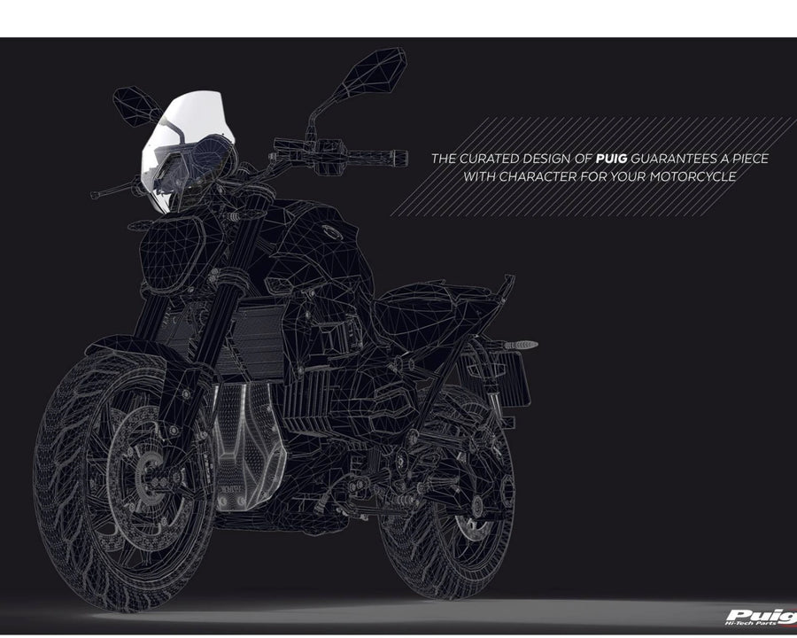 BMW R 1250 R [2025] – Nieuwe generatie Sport – Transparant