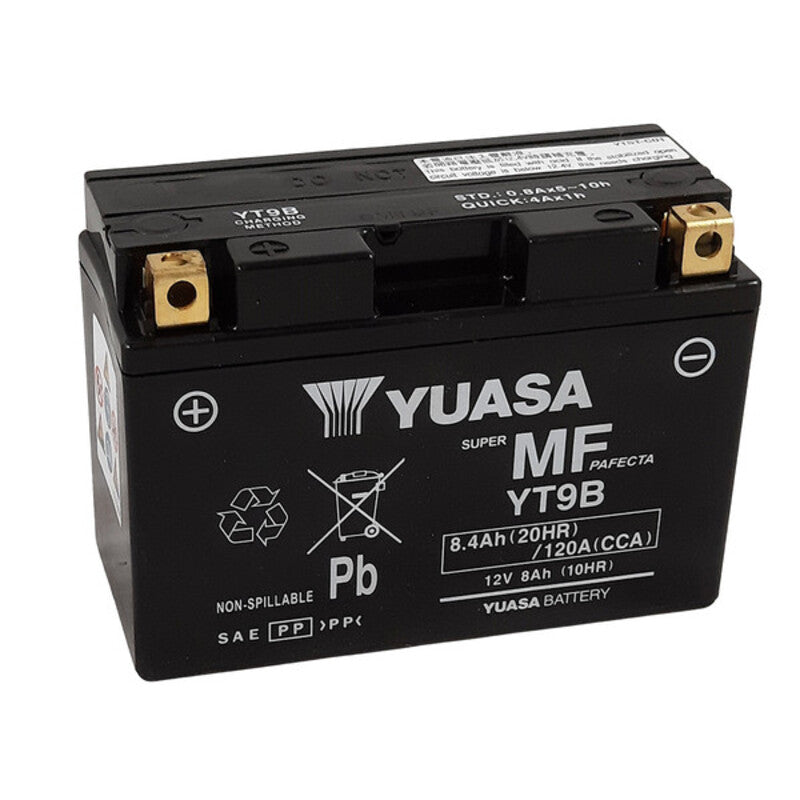 Yamaha TT 600 Re [Yuasa] - Motorfietsbatterij