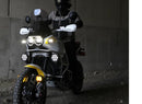 Ducati Desertx [DENALI] - CANsmart™-controller GEN II-2