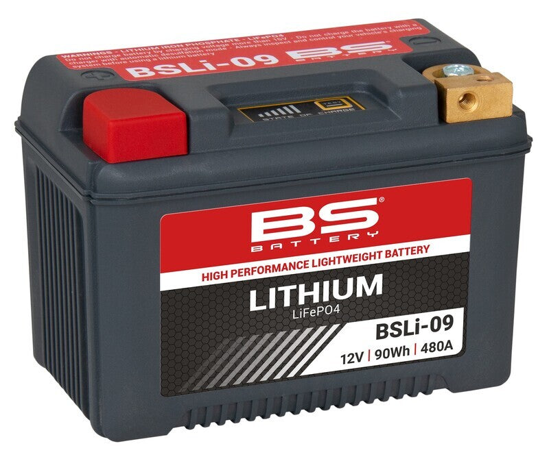 Kawasaki Vn 1600 Mean Streak [BS BATTERY] - Lithium-Ionen-Batterie - BSLI-09