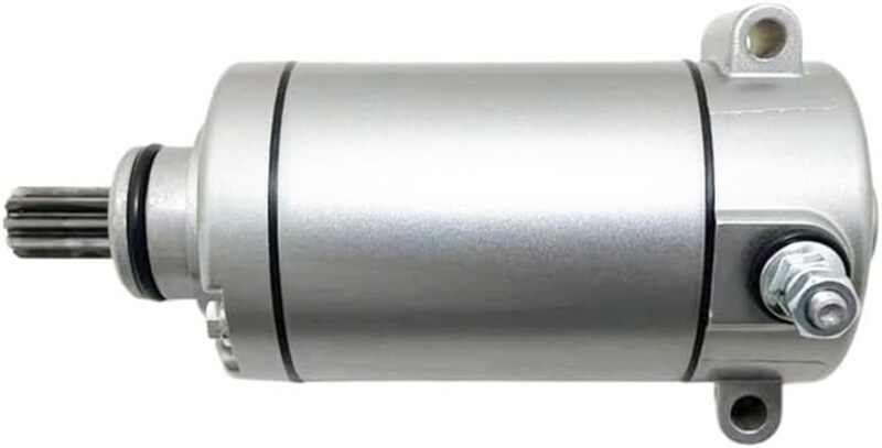 Benelli Leoncino 500 Trail [TECNIUM] - Anlasser