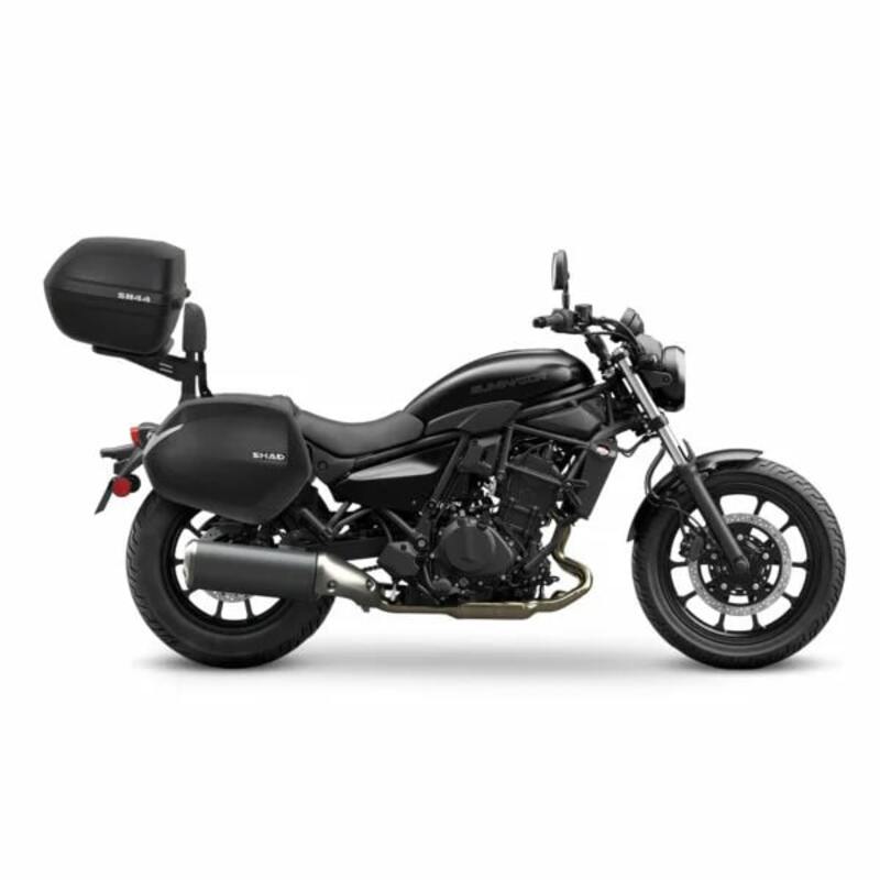 Eliminator 500 [SHAD] - Sissybar