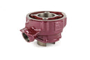 Beta RR Enduro 50 2T - cilinderkit Due Plus 75 cc modulair
