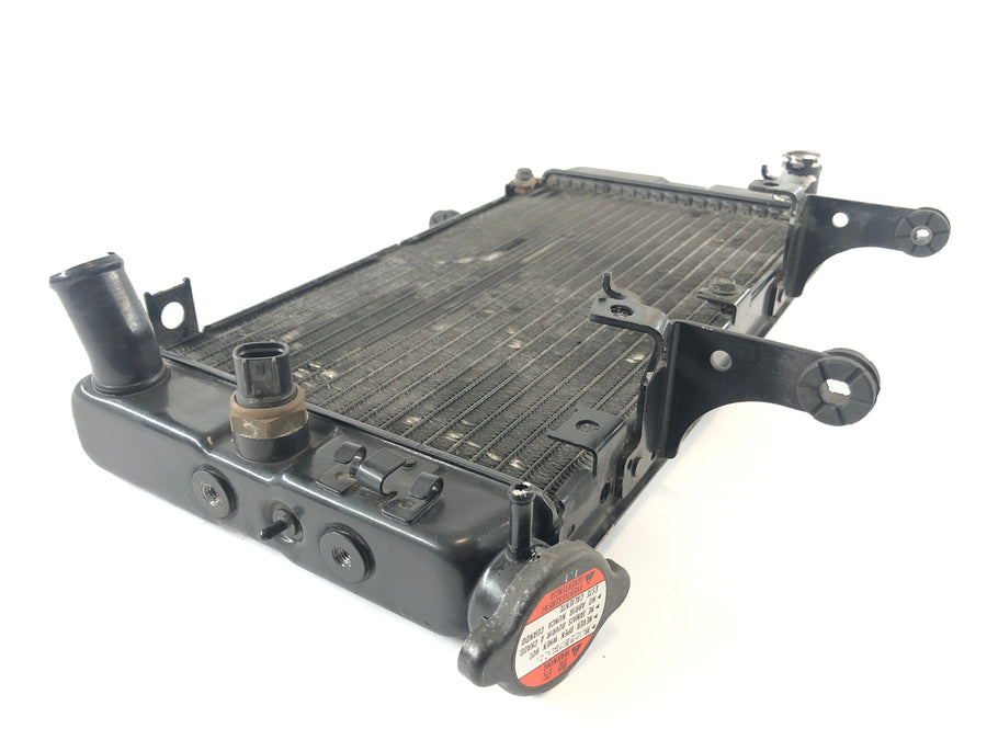 Suzuki DL 1000 V -strom [2006] - Koel waterkoeler