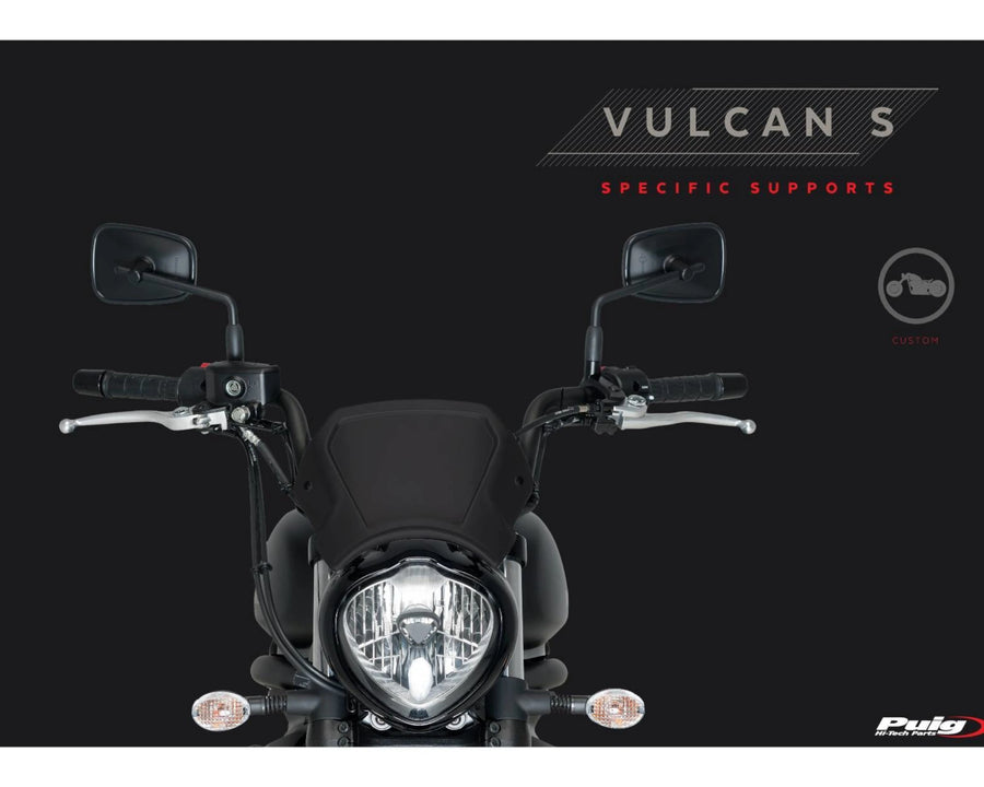 YAMAHA XSR 900 [2021] – ALU Frontplatte – Silber