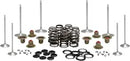 Harley-Davidson FLRT 1868 Freewheeler 114 [2021, 2023-2024] - Titanium klepveerhouderset - foto 5