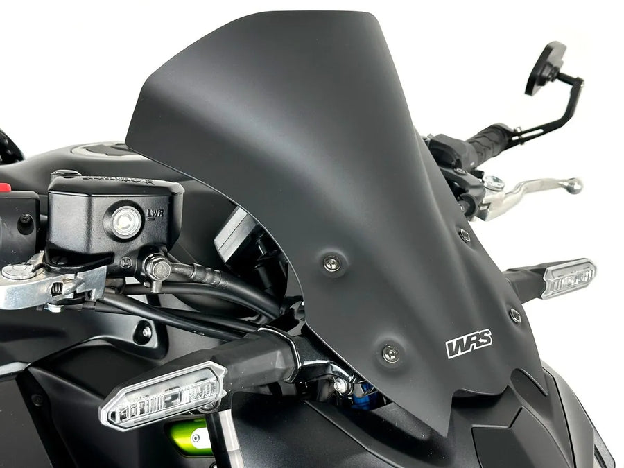 Kawasaki Z 900 [WRS] – Windschild