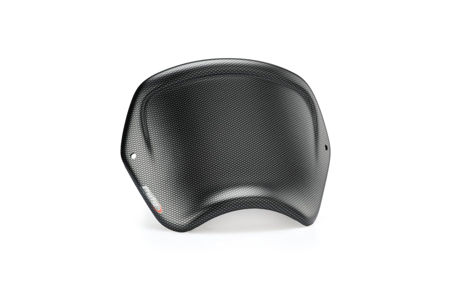 HARLEY DAVIDSON SPORTSTER FORTY-EIGHT XL 1200 X [2020] – Frontplatte ABS