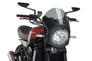 KAWASAKI Z 900 RS SE [2025] – Retro Fairing Screen – Tinted-8