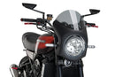 KAWASAKI Z 900 RS SE [2025] – Retro-Verkleidungscheibe – Getönt-3