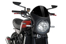 KAWASAKI Z 900 RS SE [2025] - Retro fairing screen | Black | PUIG 9595N