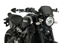 YAMAHA XSR 900 [2021] – ALU Frontplatte – Silber-6