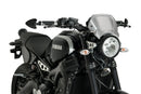 YAMAHA XSR 900 [2021] – ALU Frontplatte – Silber-1