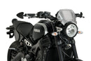 YAMAHA XSR 900 [2021] – ALU Frontplatte – Silber-3
