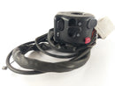 Triumph Trophy 1200 T300E [1996] - Left handlebar switch for headlight flasher missing???-1