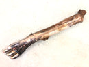 Honda GL 1500 Goldwing SC22 [1988] - Rear silencer right-2