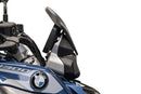 BMW R 1300 R Exclusive [2025+] - Carbon-Windschild