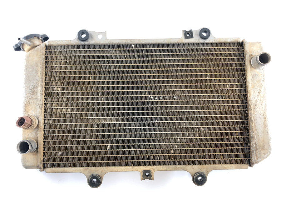 Yamaha Grizzly 660 AM03W [2003] - Koel waterkoeler