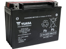 Harley Davidson Touring [1985-1996]-maintenance-free high-performance YTX24HL-BS-1