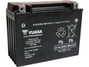 Harley Davidson Touring [1985-1996]-maintenance-free high-performance YTX24HL-BS-4