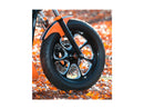Harley Davidson Dyna [2000-2005] – Eliminator 7 Riemenscheibe Schwarz 1 1/8" 70 Zähne-7