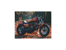 Harley Davidson Dyna [2000-2005] – Eliminator 7 Riemenscheibe Schwarz 1 1/8" 70 Zähne-3