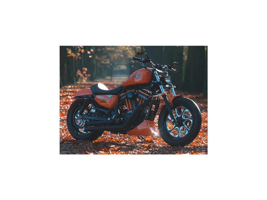 Harley Davidson Dyna [2000-2005] – Eliminator 7 Riemenscheibe Schwarz 1 1/8" 70 Zähne
