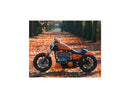 Harley Davidson Dyna [2000-2005] – Eliminator 7 Riemenscheibe Schwarz 1 1/8" 70 Zähne-9